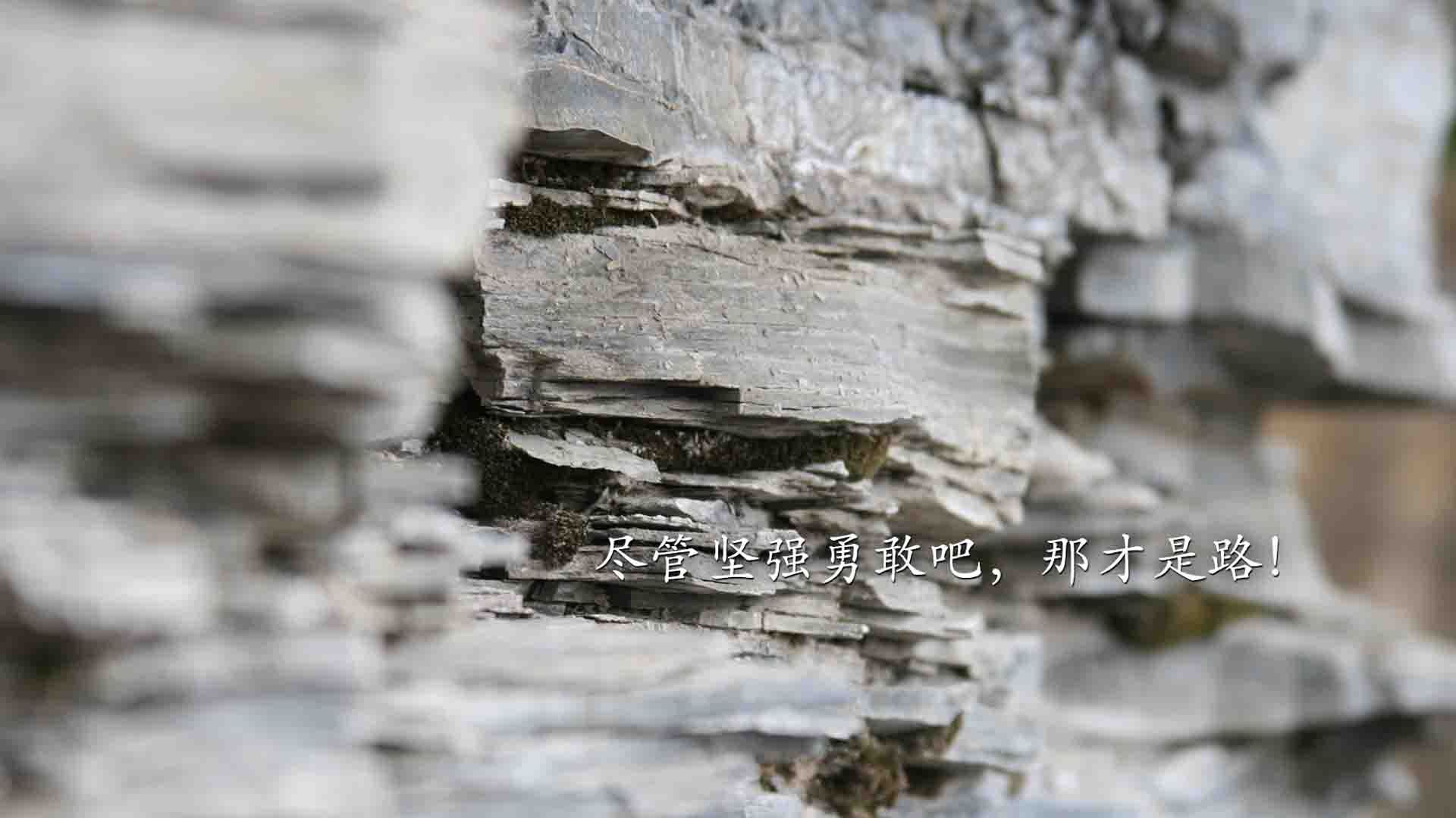 东方的雪豹,收割美洲熊