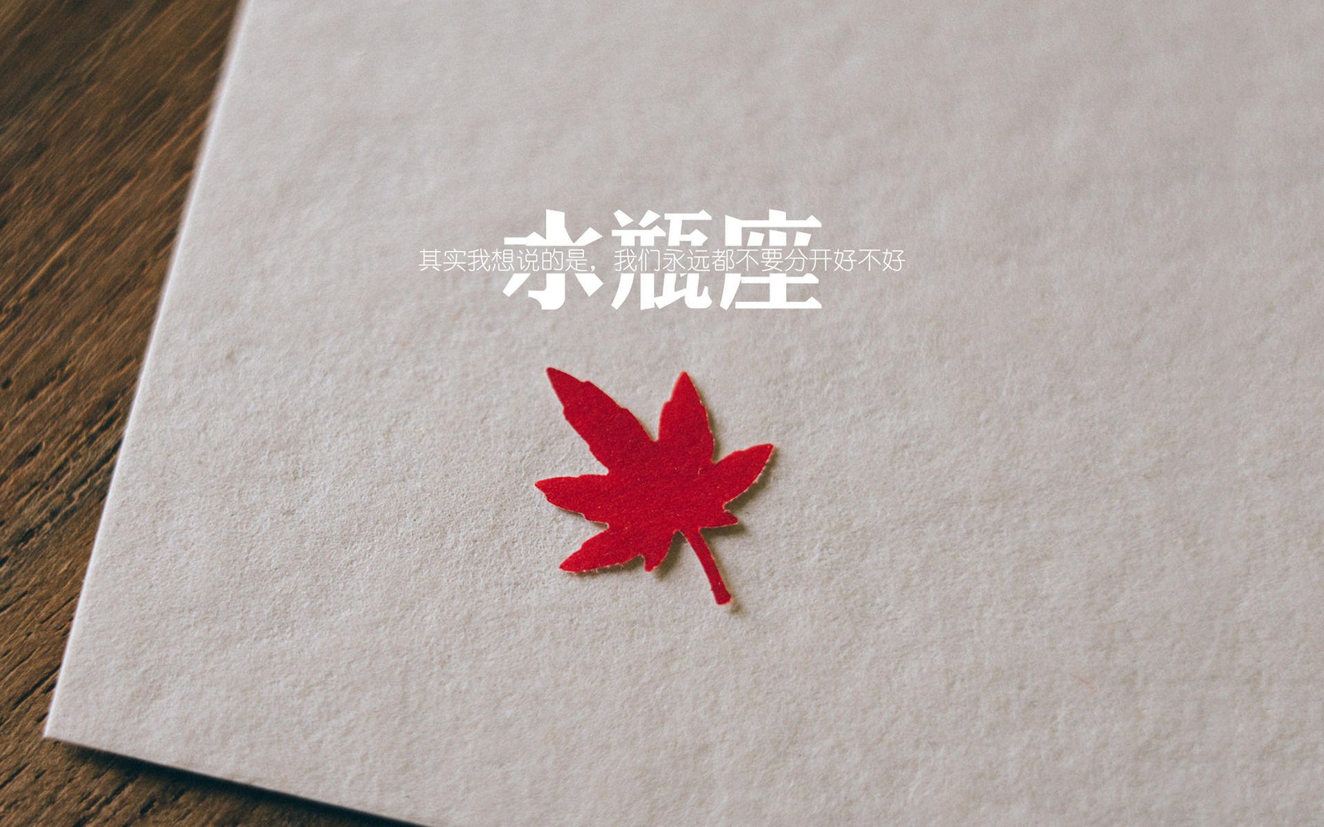 唯一决定，2026世界杯之夜，德里赫特如何用一道斜影封印荣耀