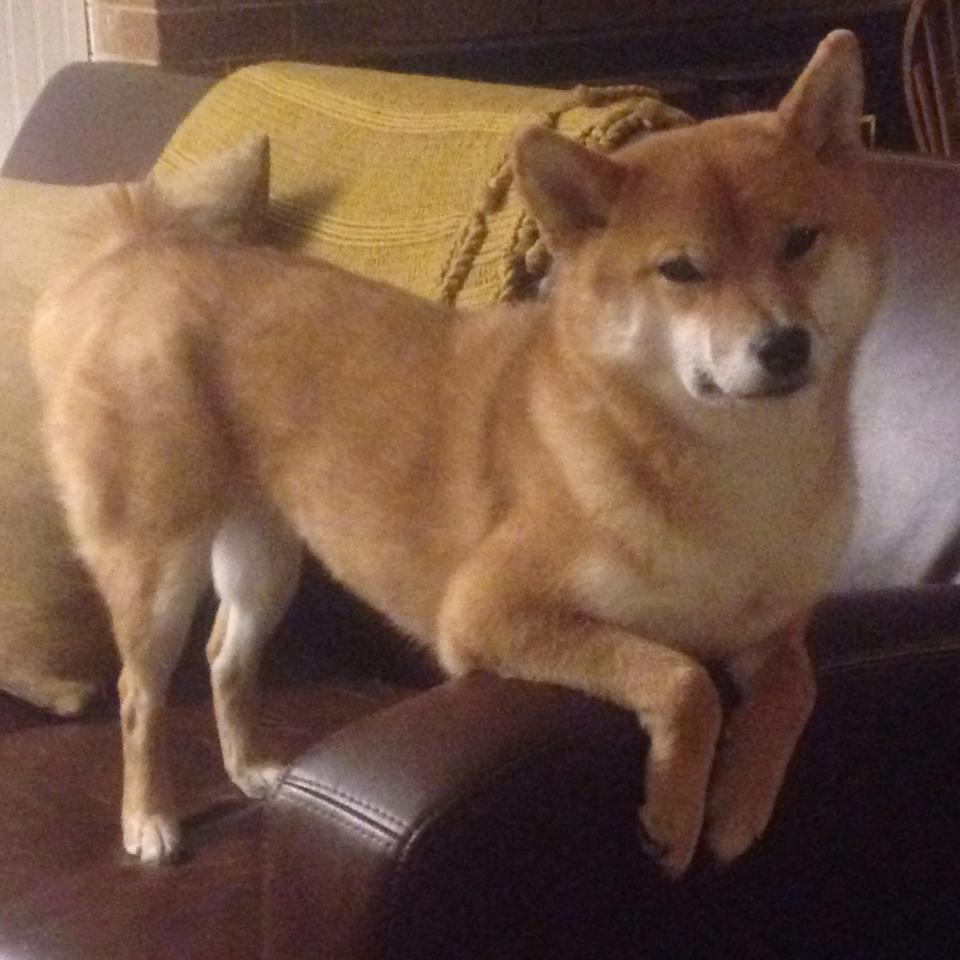 拟定的文章标题