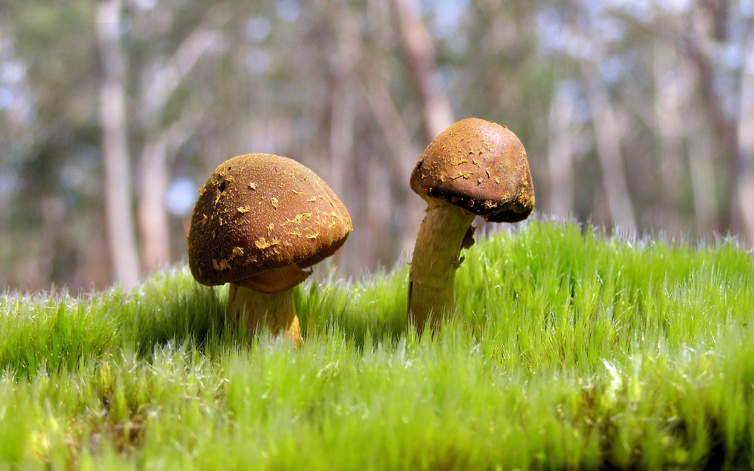 艺术与征服，C罗在西班牙对阵勒沃库森的比赛中铭刻唯一性