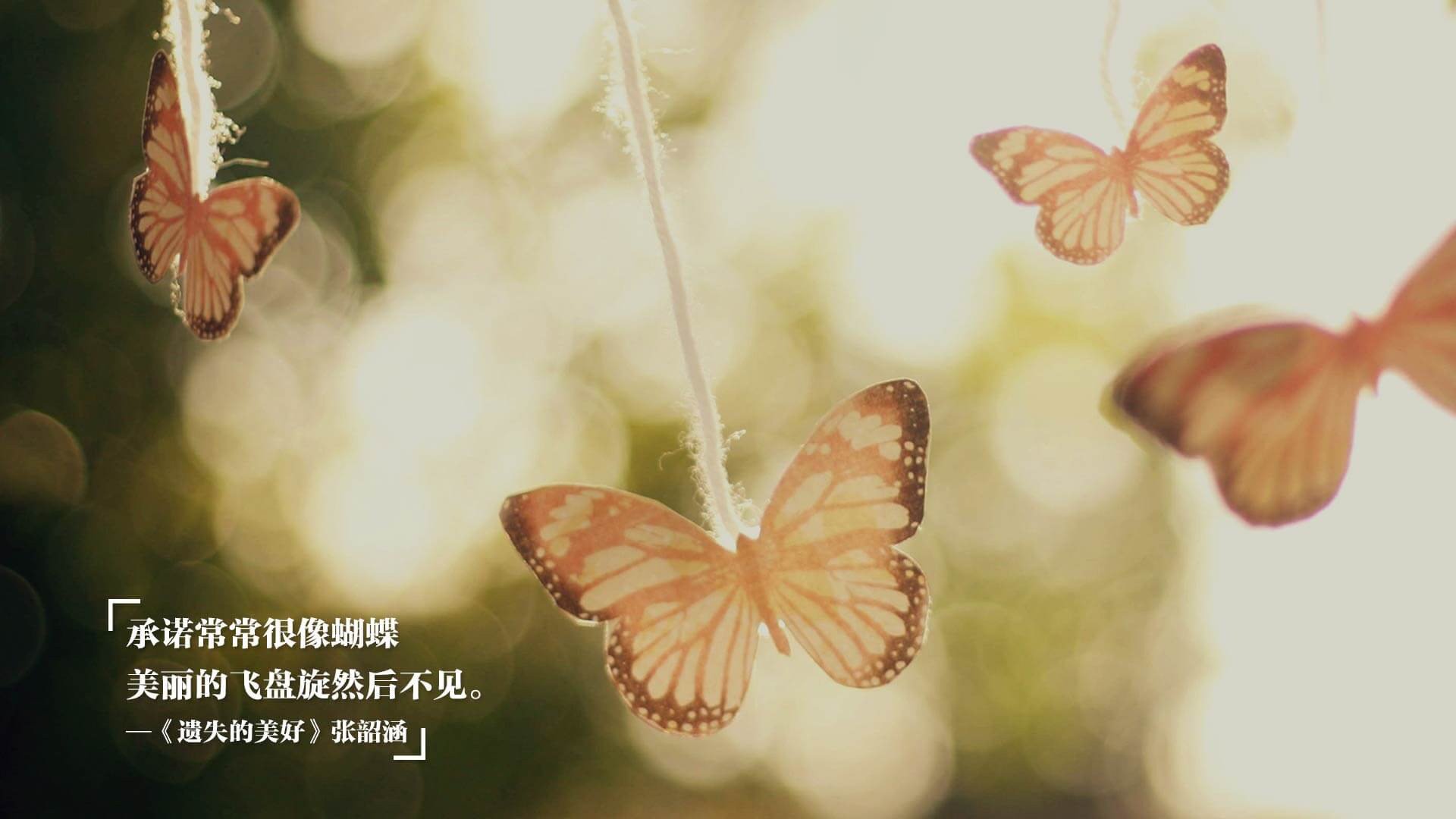 高原审判日，约基奇三双如手术刀肢解费城，掘金狂胜宣告王朝基石与伪强队的天堑