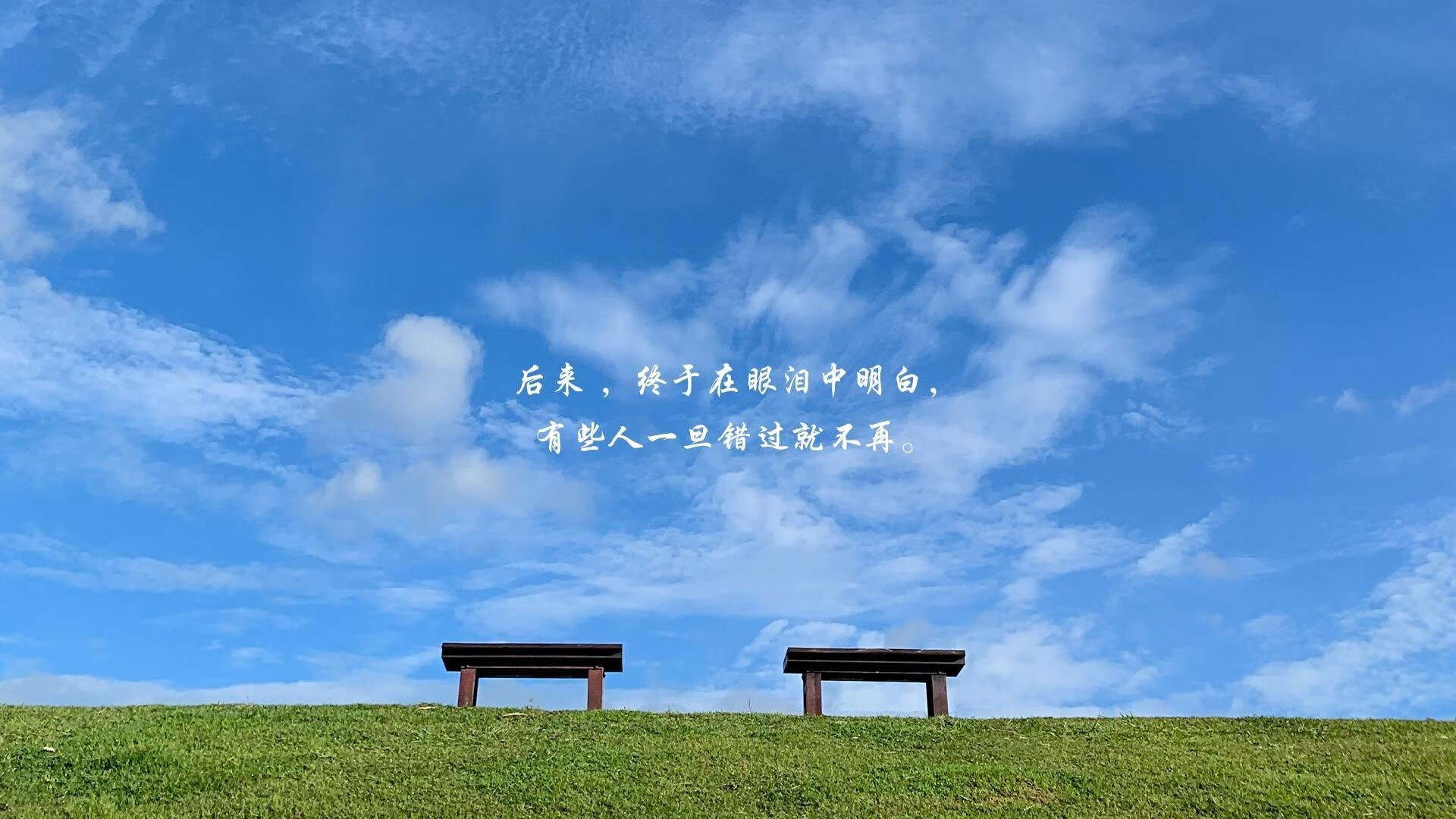 双面阿什拉夫，失误之夜的英雄，世界之巅的阶梯