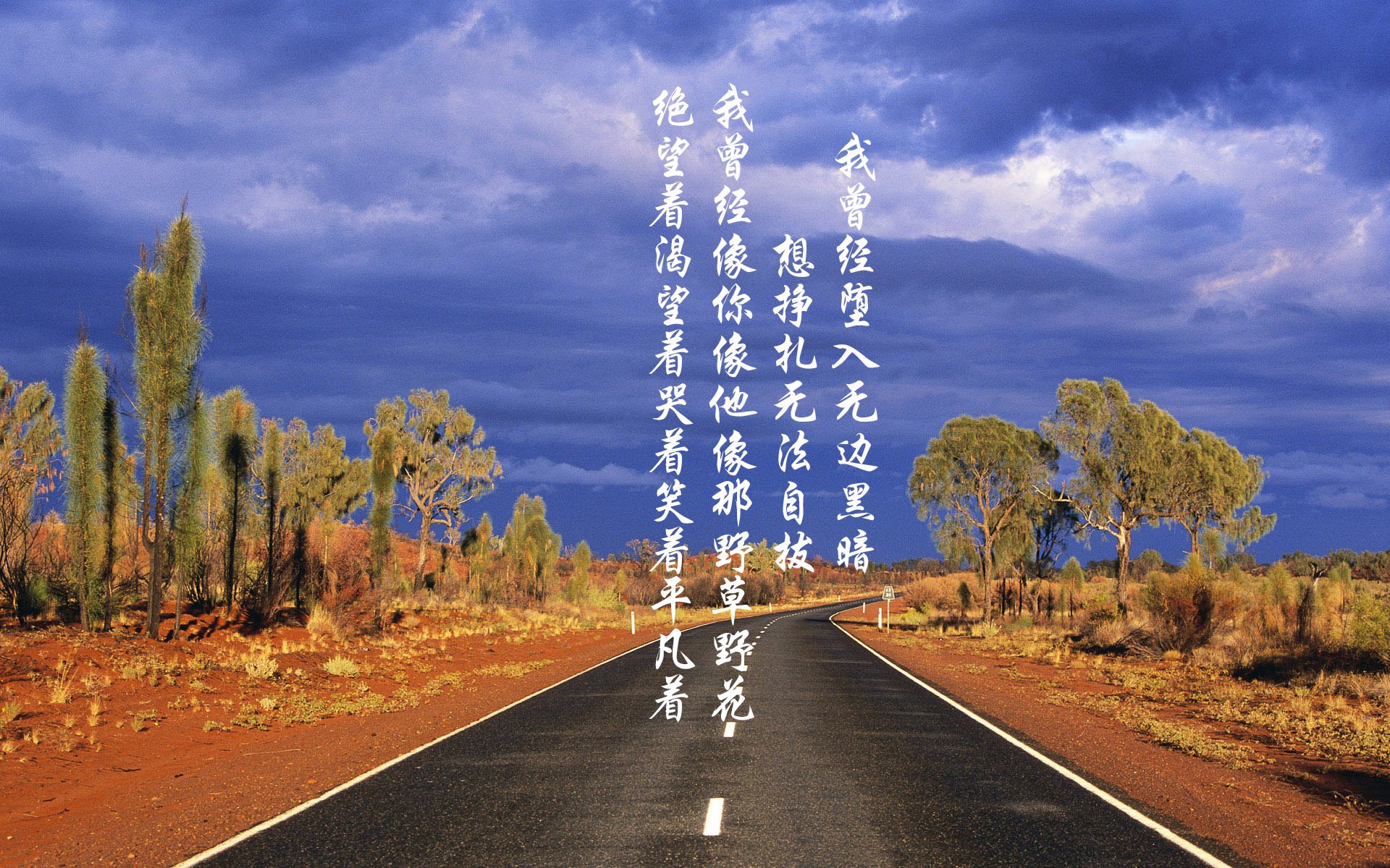 棋盘上的信天翁，当基米希执棋厄瓜多尔与芬兰的想象对局