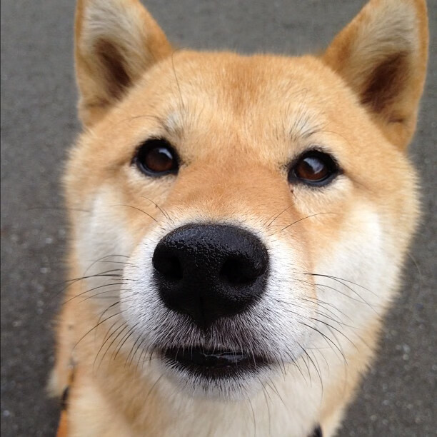 最熟悉的恶魔，当哈登在波特兰上空再次敲响丧钟