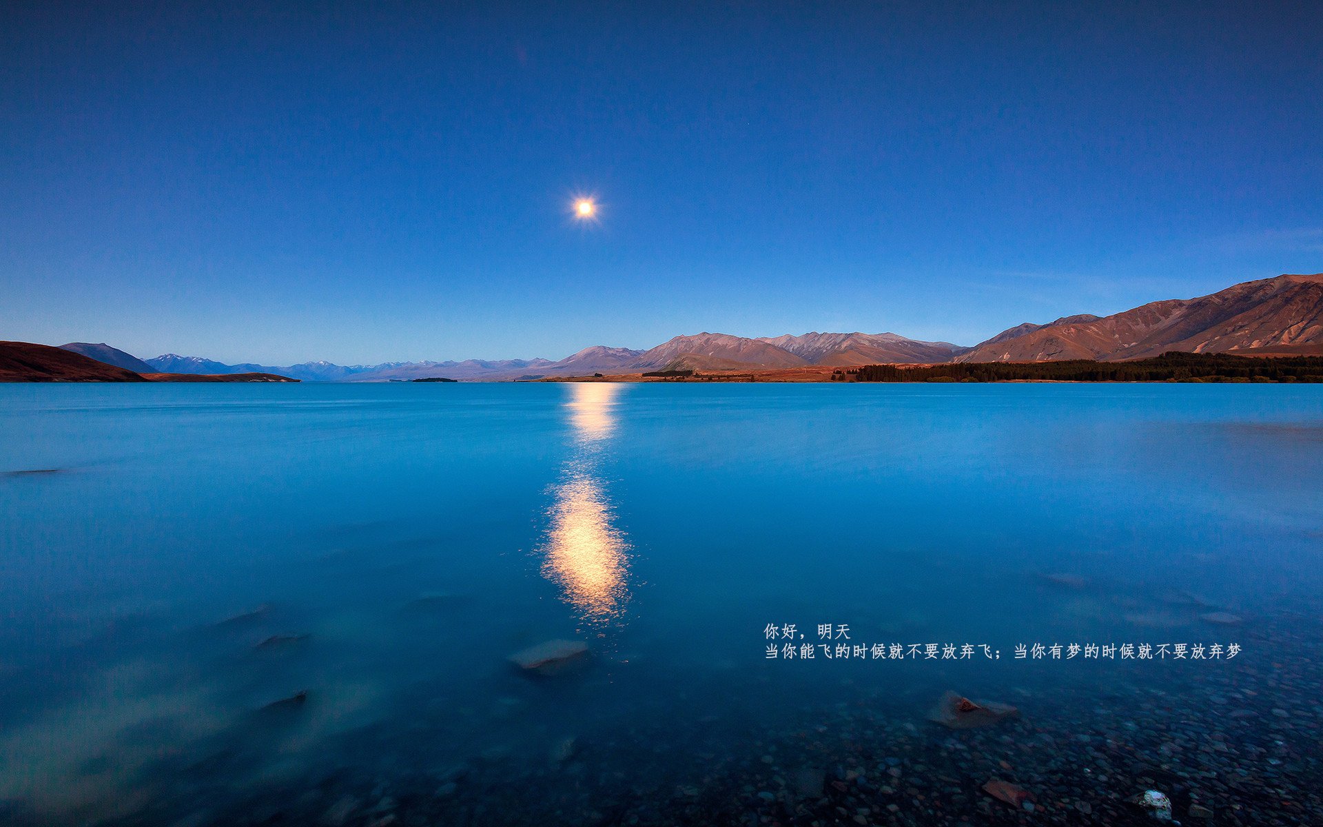 黑色旋风锁定胜局!米切尔化身广厦克星,北京外线铁蹄横扫强敌