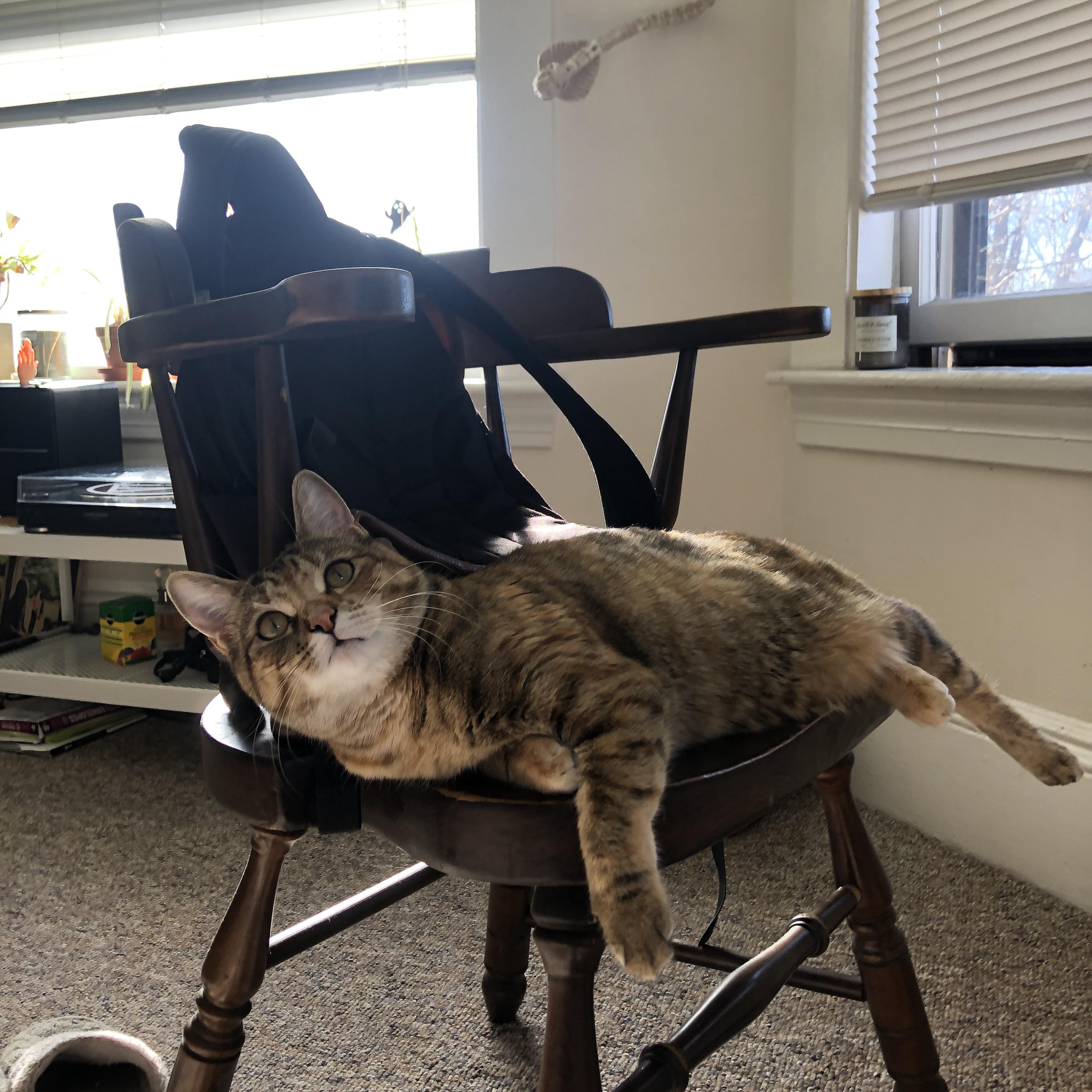 同一夜的双重奇迹,英超争冠与库里爆炸数据的唯一性时刻