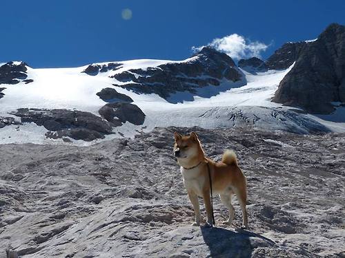 终局之弈，马克西一子定乾坤，奇才逆转掀翻北京长城
