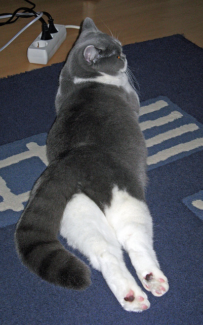 铁索拦江，范弗利特最后五分钟堵死骑士翻盘路