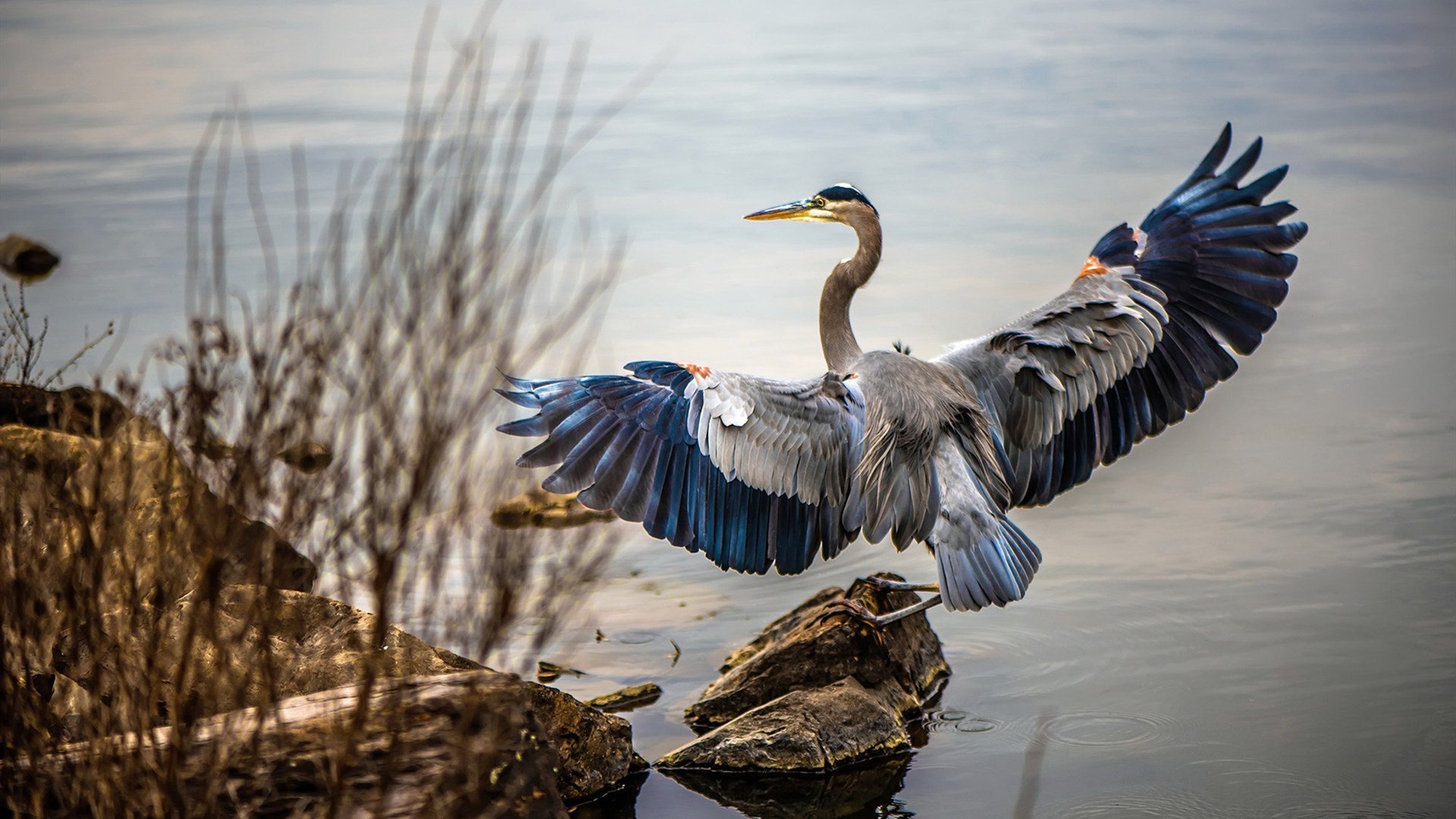 关键先生罗德里一箭定江山，哥斯达黎加雨林意志掀翻巴黎巨人