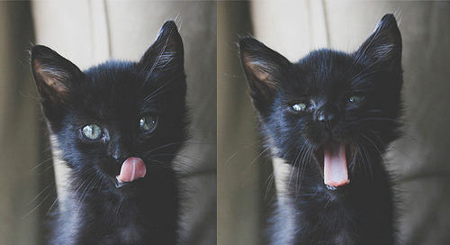 E组惊天逆转,齐耶赫化身巴格达魔术师,伊拉克补时绝杀保加利亚书写亚洲荣光