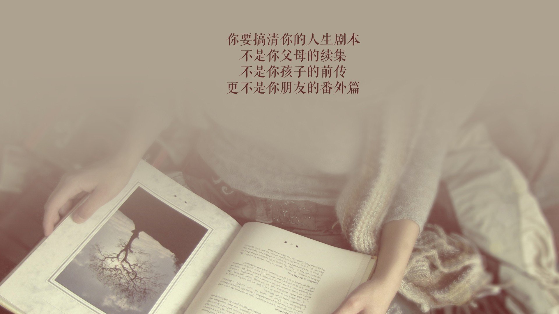 冰与火的悖论，2026，当蓝武士的冷焰刀劈开维京战吼，布罗佐维奇在废墟上竖起唯一的旗帜