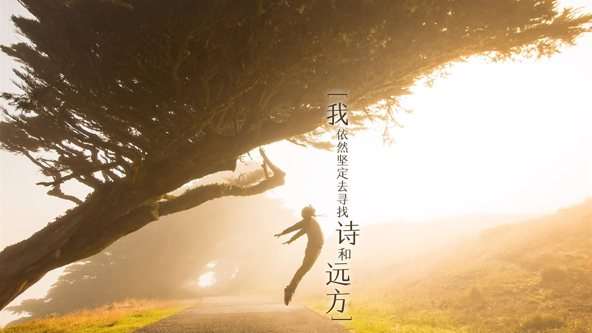 冰山消融在孤星之夏,B费掌舵,瑞士精密战车碾碎维京战吼