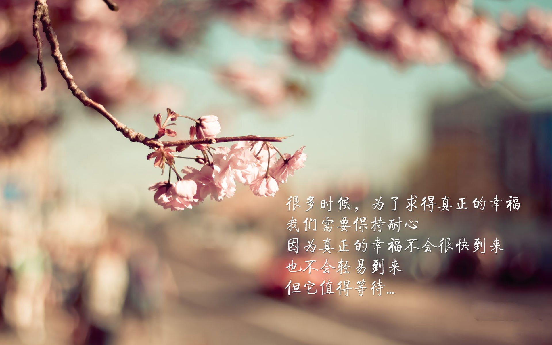 2026世界杯双线叙事,哥伦比亚力克瑞典,莱万带队取胜,节奏紧张如心跳