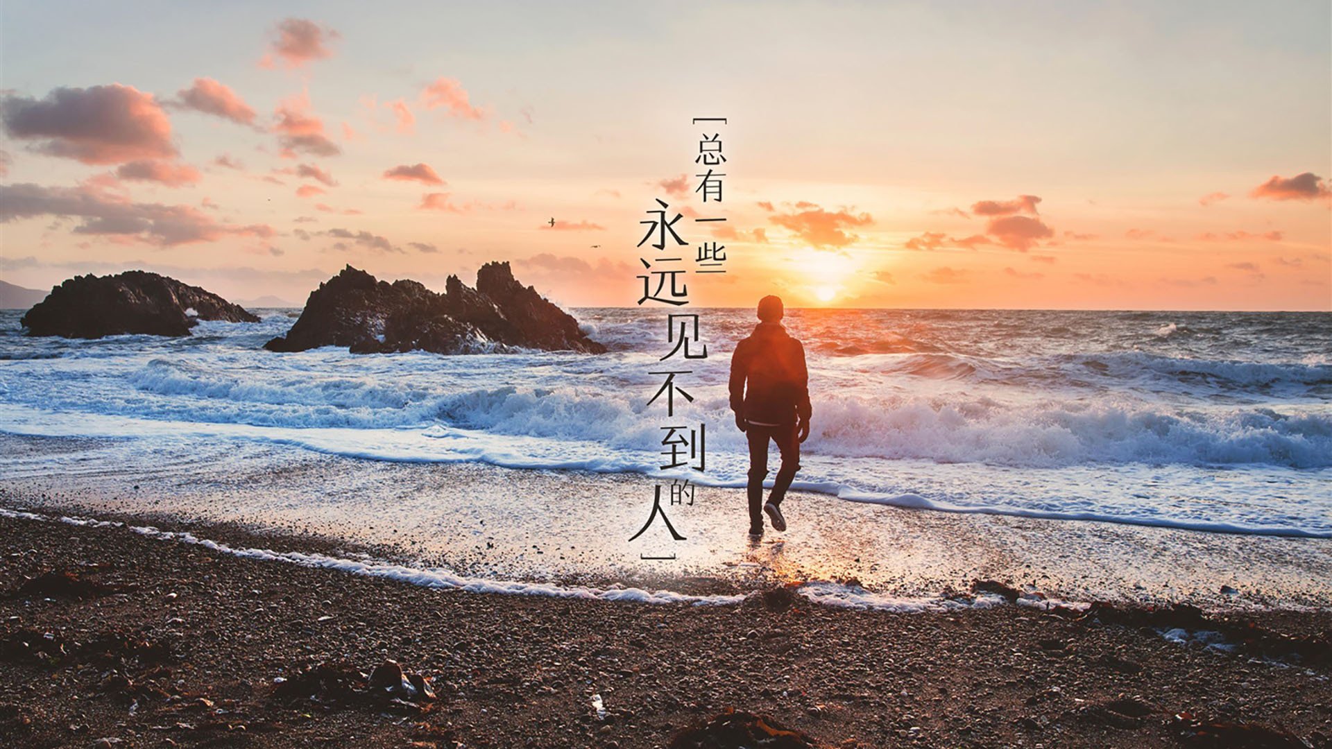 新王加冕与北非雄鹰,2026世界杯C组唯一的不确定与确定的颠覆